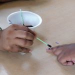 Student Council Election: 04.06.2022